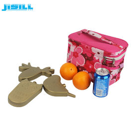 kopen De hete Koude Harde Shell-Hdpe Plastic van de het Pak Leuke Diepvriezer van het Beeldverhaalijs Koelere Pakken online manufacture