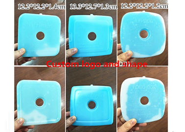 Pakken van het douane de Blauwe Harde Plastic Ijs voor Voedsel 12,2 * 12,2 * 1.2cm