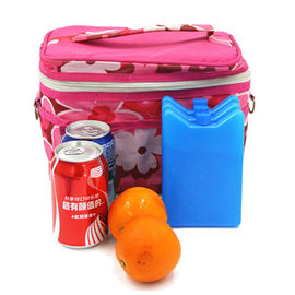 Mini ijspakken voor het koelen van eten en drinken in lunchboxen, picknicks en meer. Multifunctioneel, draagbaar en herbruikbaar voor kamperen, vissen en meer.