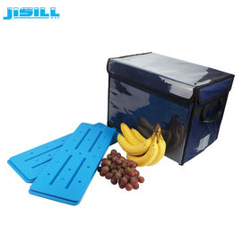 Outdoor camping koeler koude zakken, aangepaste plastic ijszakken voor kinderen lunchdoos voor voedsel bevroren