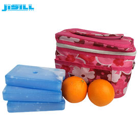 FDA goedgekeurd HDPE Hard Plastic Cooler Gel Ice Pack Camping Bevroren Voedsel Voor Koeler Bag Voor Voedsel Bevroren