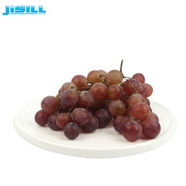 Ronde koelgel koelplaat vriezer voor fruit en voedsel vers, 860 ml inhoud voor voedsel bevroren