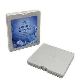 290 ml Fit Fresh Cool Box IJspakketten, Vriespakketten 19*19*1cm Grootte Voor voedsel Bevroren